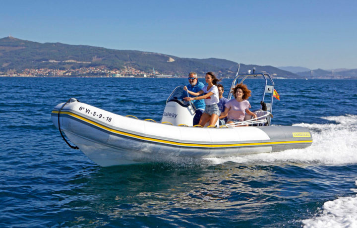 Vanguard Marine 560 FAMILY